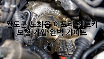 완도군 노화읍 이포리 렌트카 보험 가입 완벽 가이드