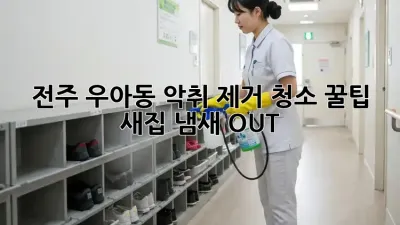 전주 우아동 악취 제거 청소 꿀팁! ✨ 새집 냄새 OUT!