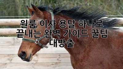 📦 원룸 이사, 용달 하나로 끝내는 완벽 가이드! 꿀팁 대방출 🍯